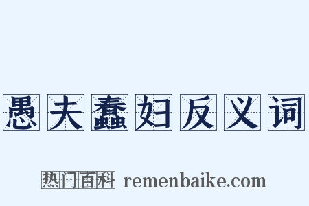 愚夫蠢妇反义词是什么意思的图片